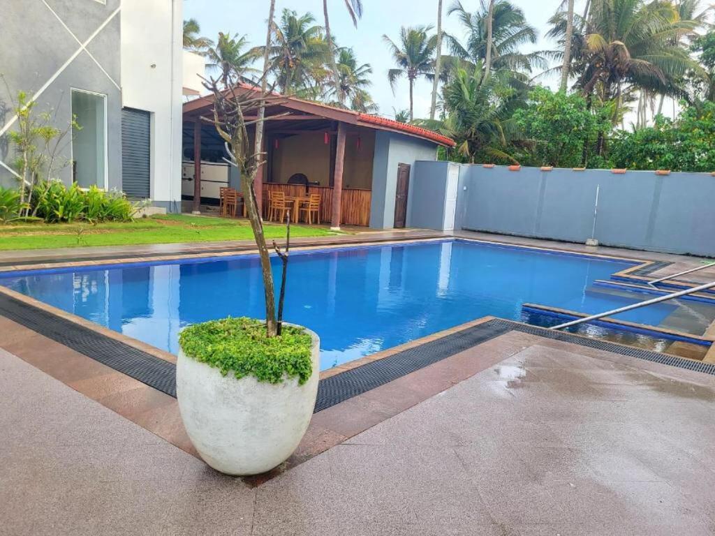 Canela Villa And Resort 阿杭格默 外观 照片